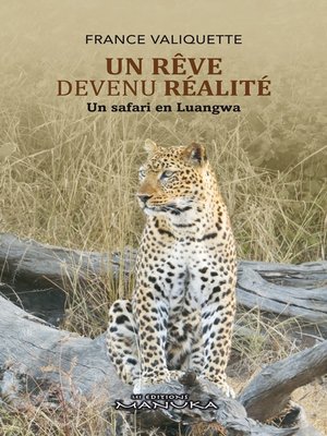 cover image of Un Rêve devenu Réalité